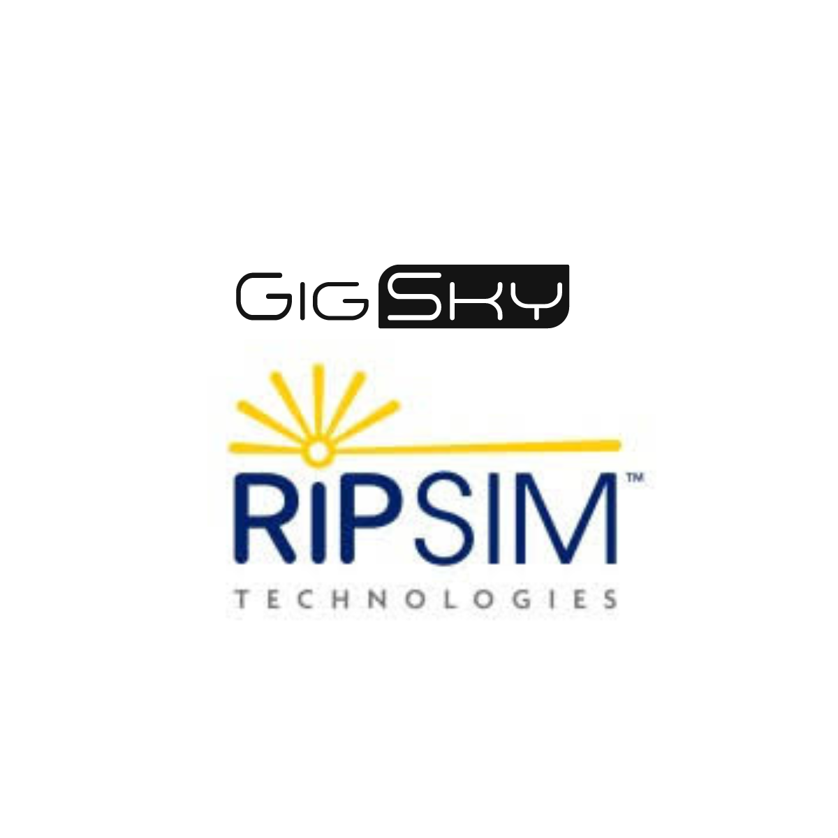 GigSky and RiPSIM